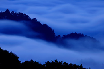 PHOTO : a sea of cloud