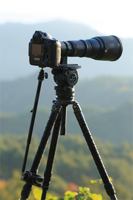 PHOTO : PROMINAR 500mm F5.6 FL